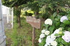 東習志野1号緑地