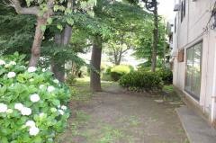東習志野1号緑地
