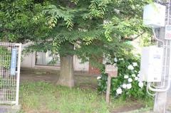 東習志野1号緑地