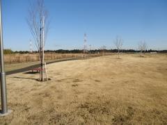 大森公園