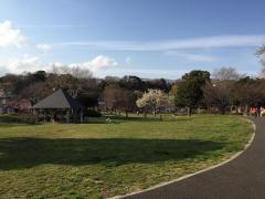本牧和田公園