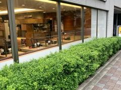マイカリー食堂　浅草橋南店