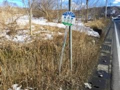 「桜の木」バス停留所