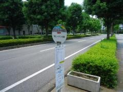 「タウンセンター中央北」バス停留所
