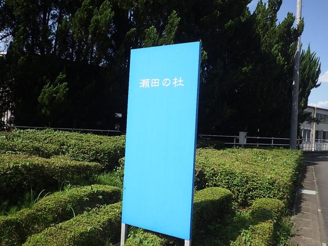 瀬田の杜