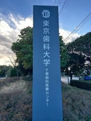 東京歯科大学千葉歯科医療センター