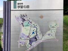 学習の森