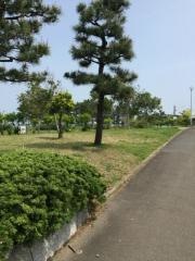 仙台港中央公園