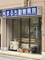 まるち動物病院