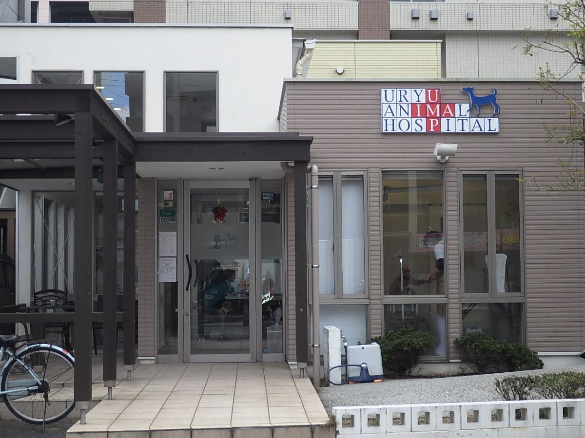 うりゅう動物病院