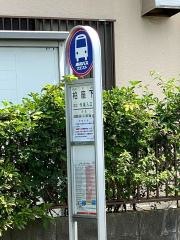 「柏座下」バス停留所
