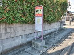 「緑ケ丘」バス停留所