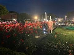 石橋文化センターの日本庭園