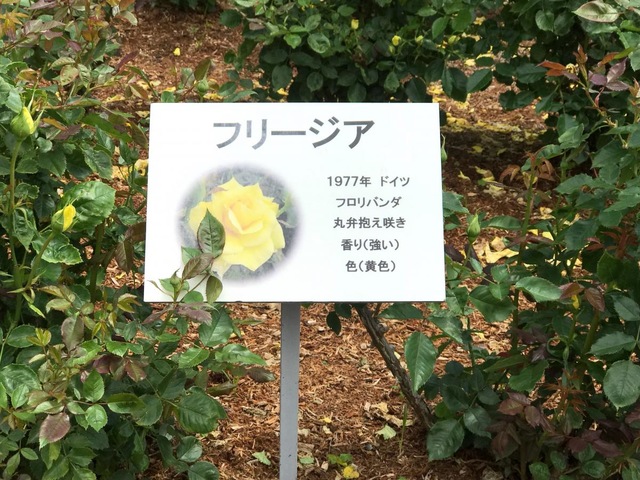 施設写真46