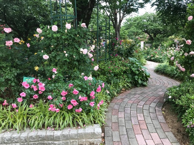 施設写真44