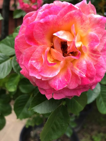 施設写真53