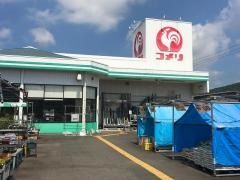 コメリハード＆グリーン　北波多店