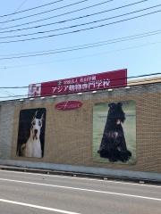 アジア動物専門学校系列・動物の病院
