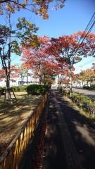 卸町五丁目公園