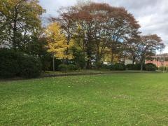 卸町五丁目公園