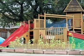 ひかり幼稚園