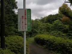 港北ニュータウン緑道2号