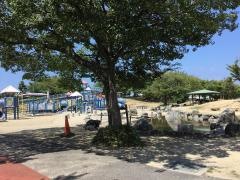 松前公園