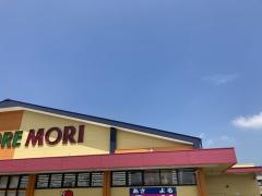 ドラッグストアモリ　広川店