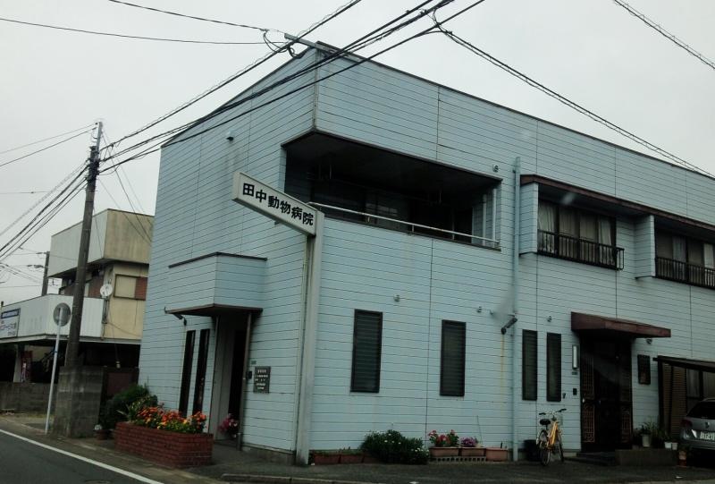 田中動物病院1