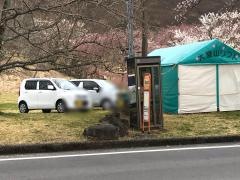 「桜の里」バス停留所