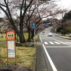 「桜の里」バス停留所