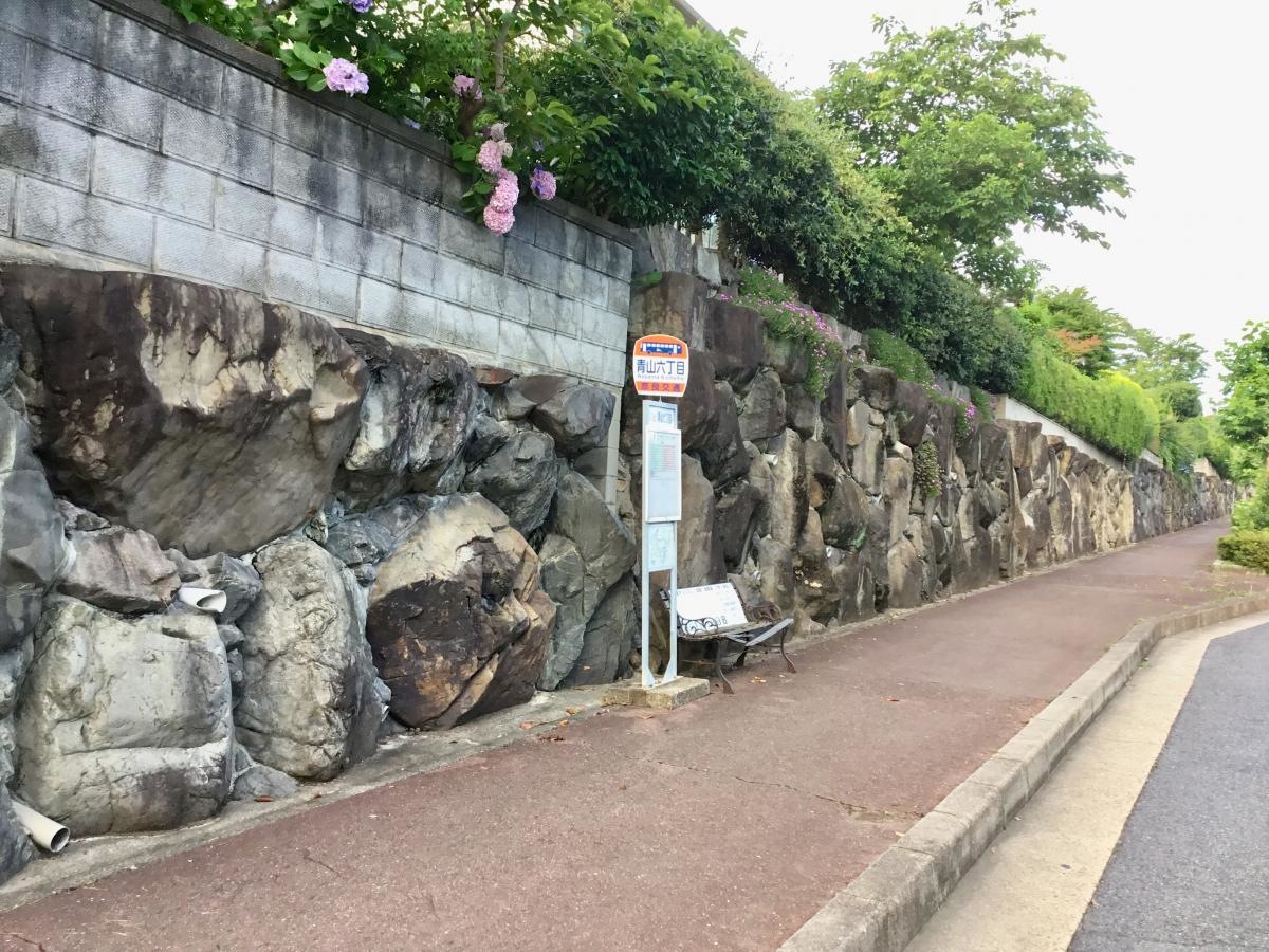 青山6丁目バス停 北 南西から撮影