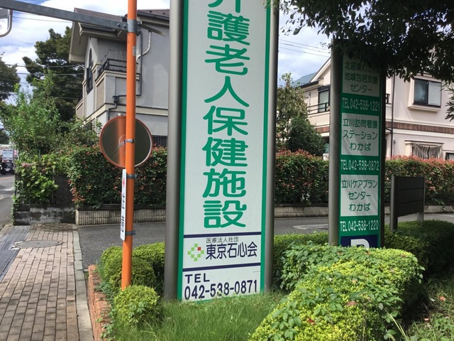 わかば
