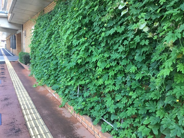 わかば 施設外観