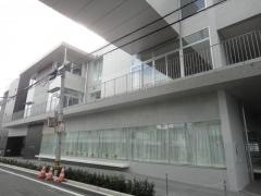 柴崎図書館