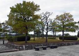 羽根ピースフル公園