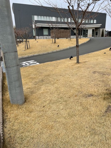 介護老人保健施設　葵の園・大宮