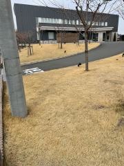 介護老人保健施設　葵の園・大宮