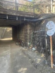 紀伊神社
