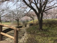 朱雀中央公園