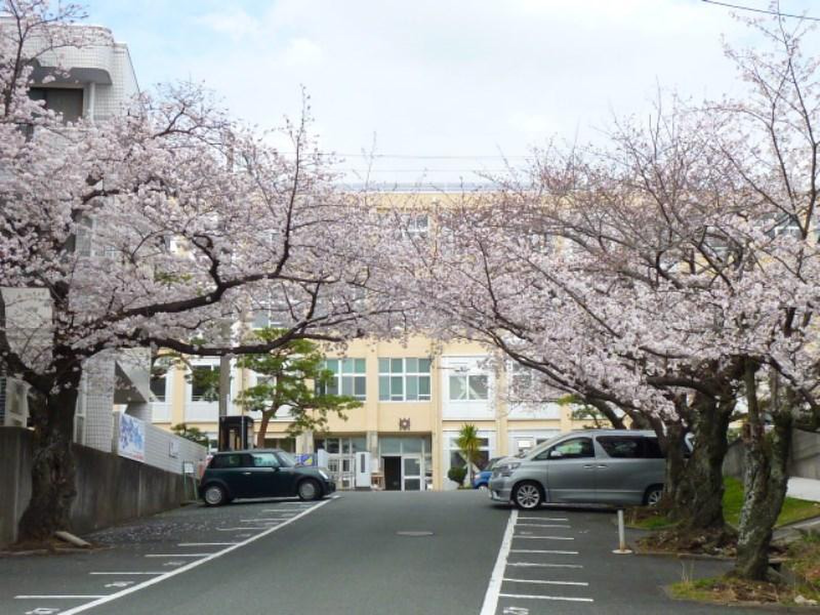 公の場での発言・インタビュー報道記録