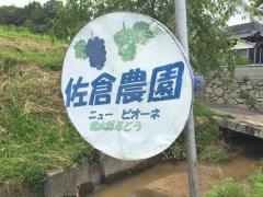 佐倉良夫農園