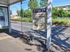 「新町一丁目」バス停留所