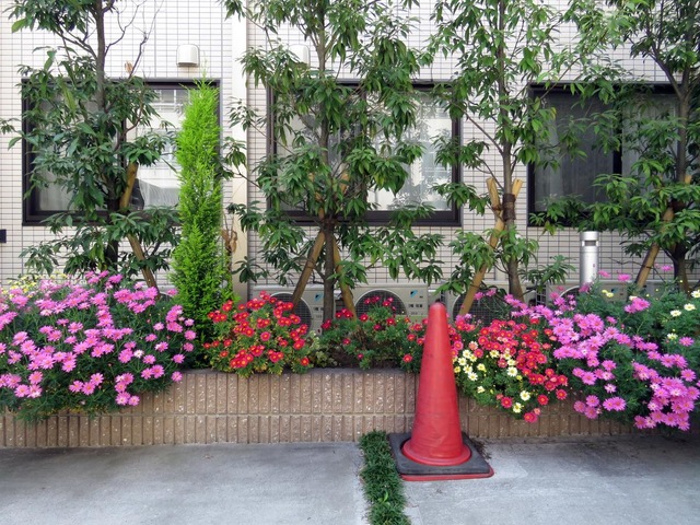 投稿写真1