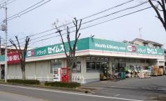 ドラッグセイムス　吉川高久店