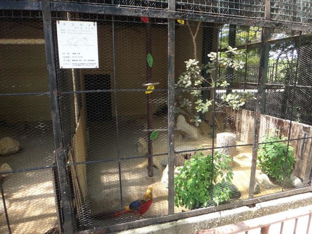 施設写真28