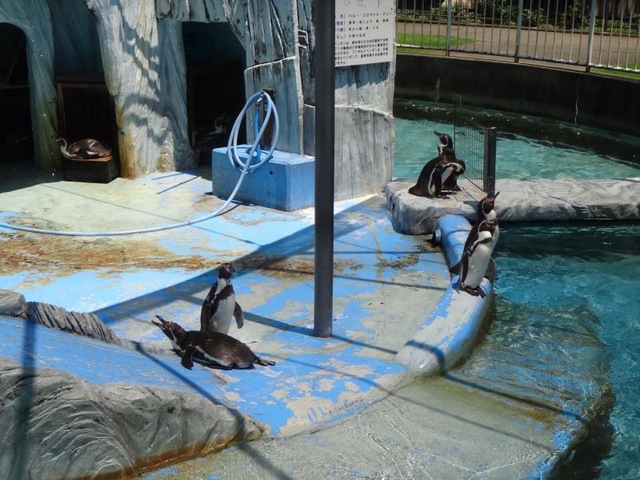 施設写真27
