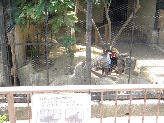 施設写真26