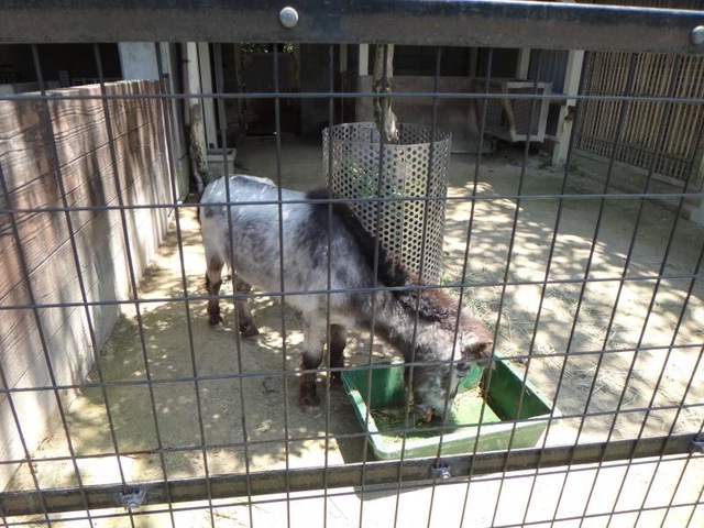 施設写真23