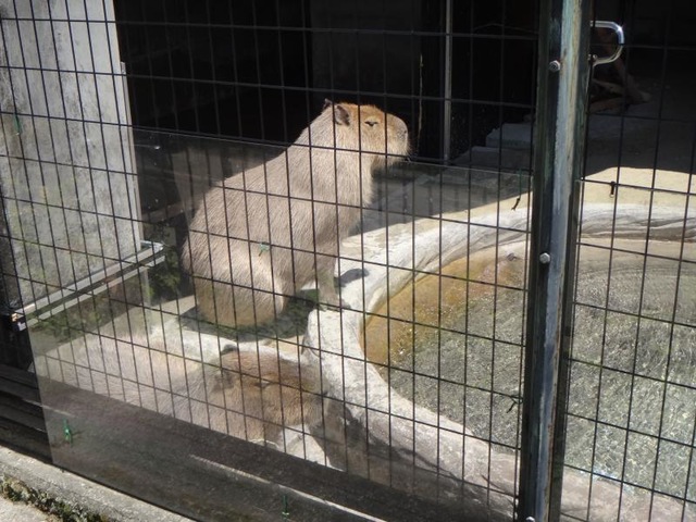 施設写真22